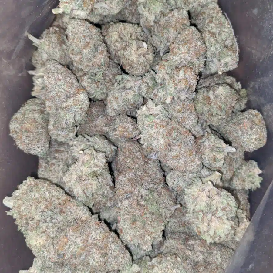 pink cookies 2 I Pink Cookies