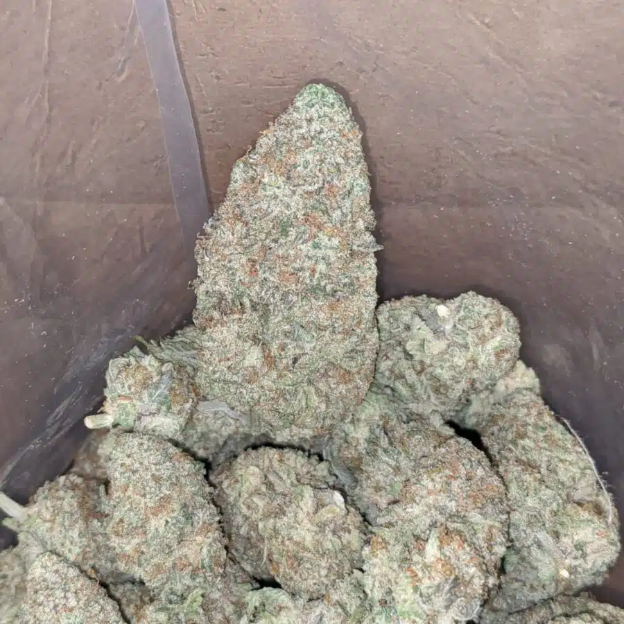 pink cookies 3 I Pink Cookies