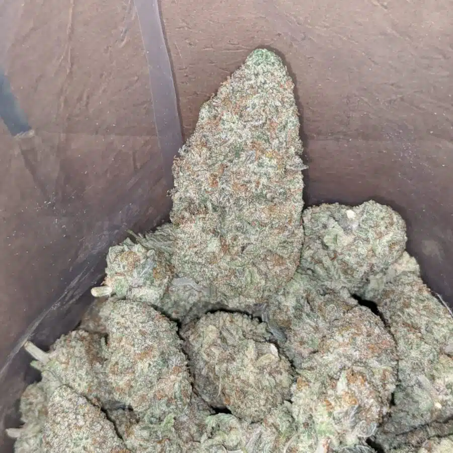pink cookies 4 I Pink Cookies