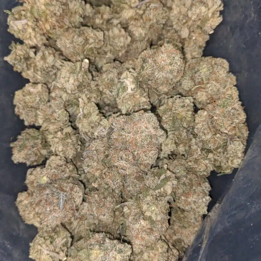 pink panties 2 1 I $ 81 Oz - Pink Panties