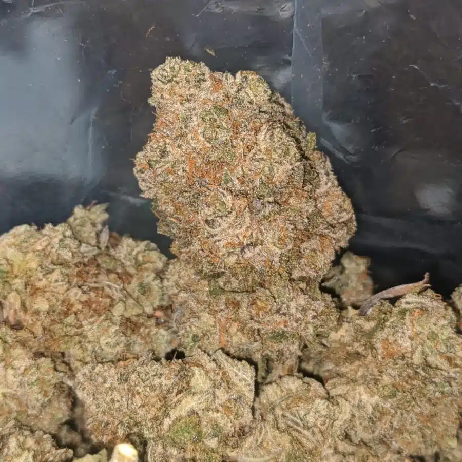 pink panties 3 1 I $ 81 Oz - Pink Panties