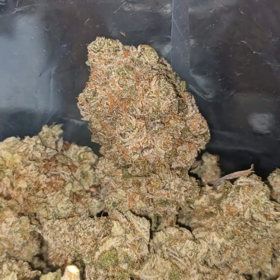 pink panties 4 1 I $ 81 Oz - Pink Panties