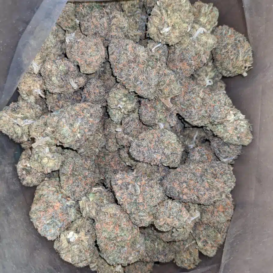 purple zkittles 1 I Purple Zkittles