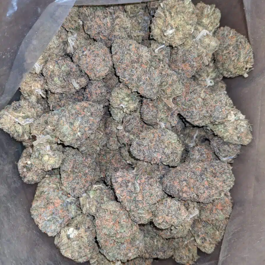purple zkittles 2 I Purple Zkittles