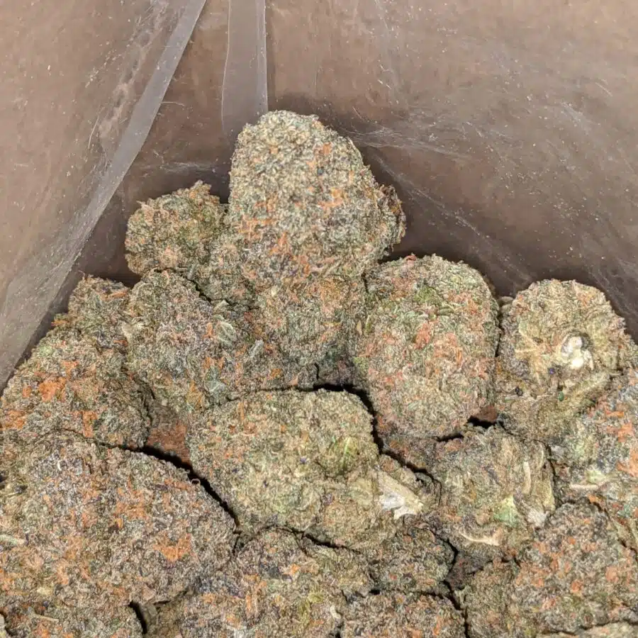 purple zkittles 3 I Purple Zkittles