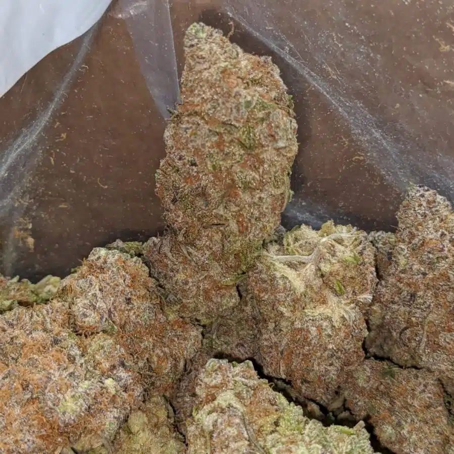 strawberry sour deisel 4 I Strawberry Sour Diesel