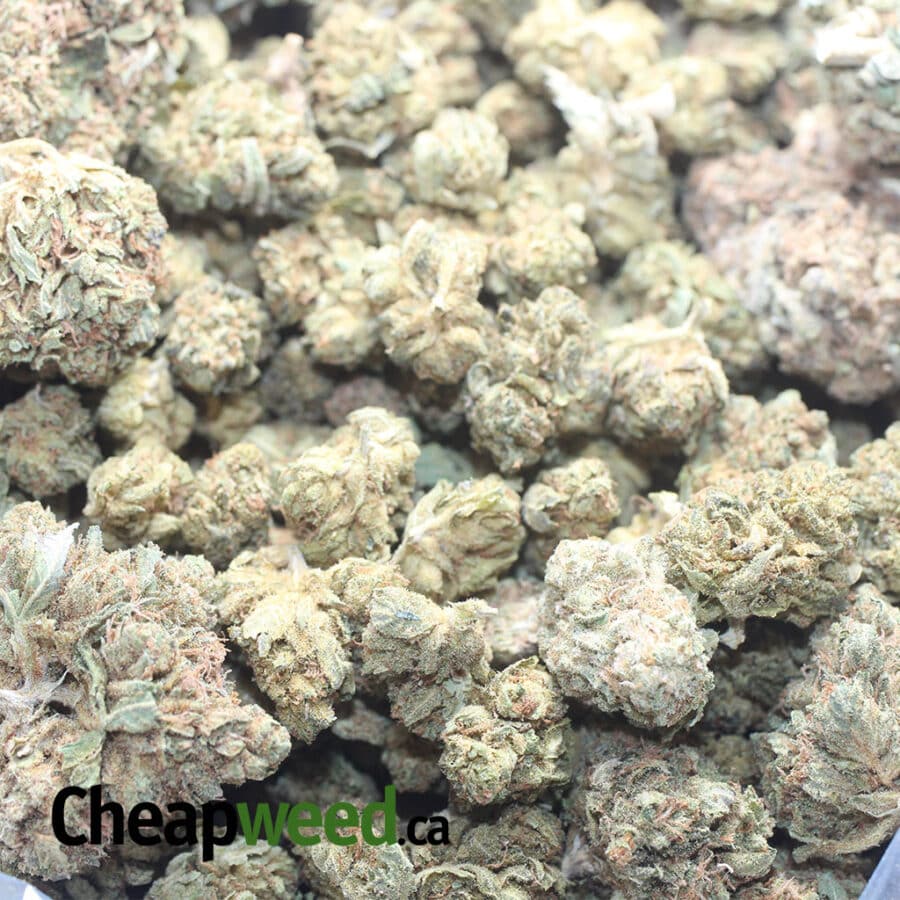 AA Cheap Kush Bulk Special - Image 3