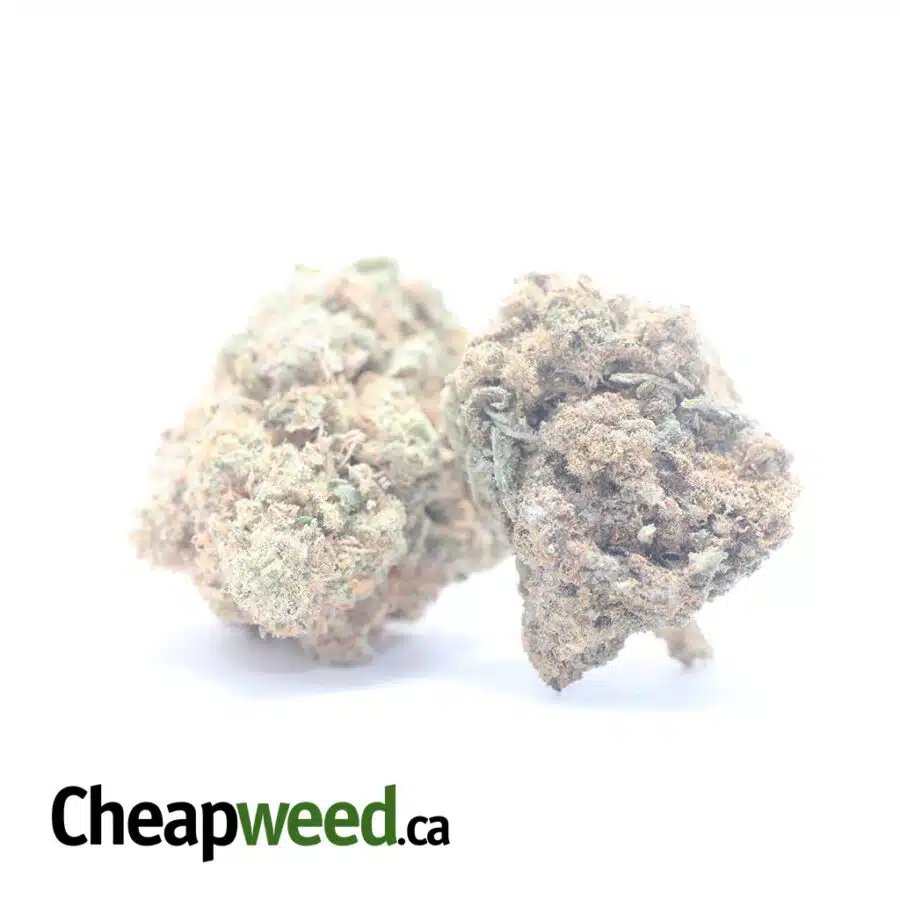 Alternative view of AA Cheap Kush Bulk Special