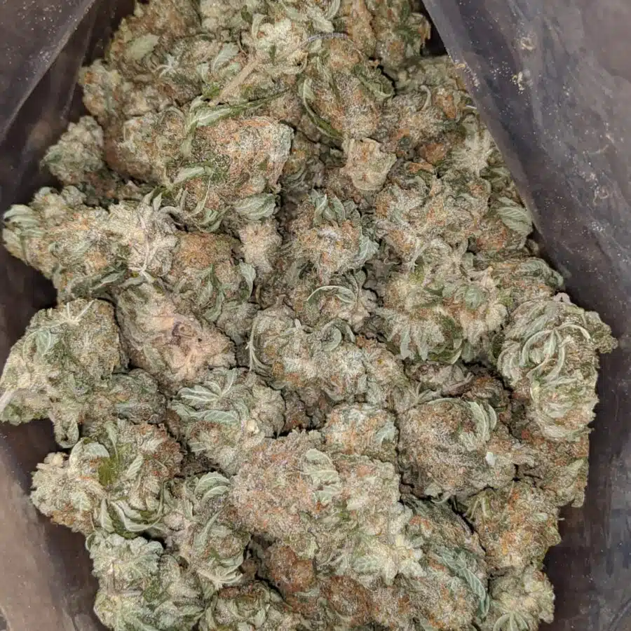 $51 Oz - Grape Kush