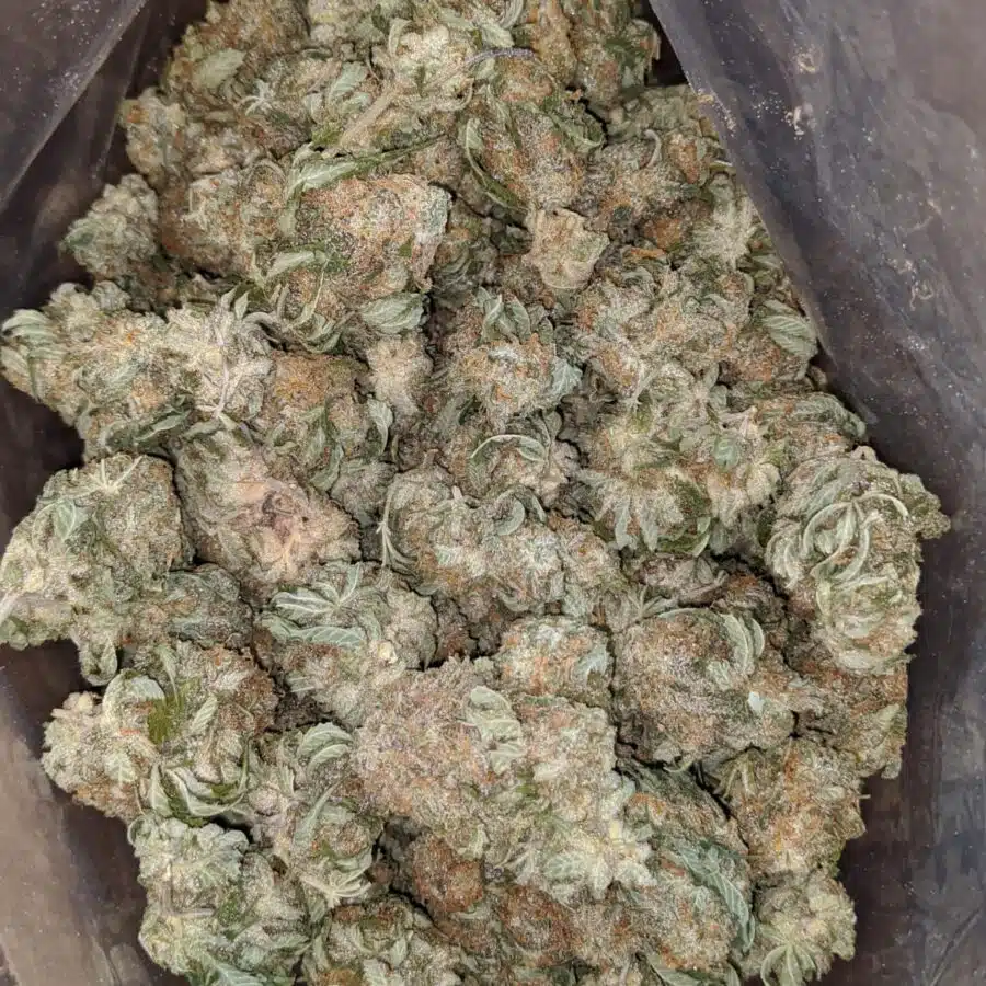 Alternative view of $51 Oz - Grape Kush