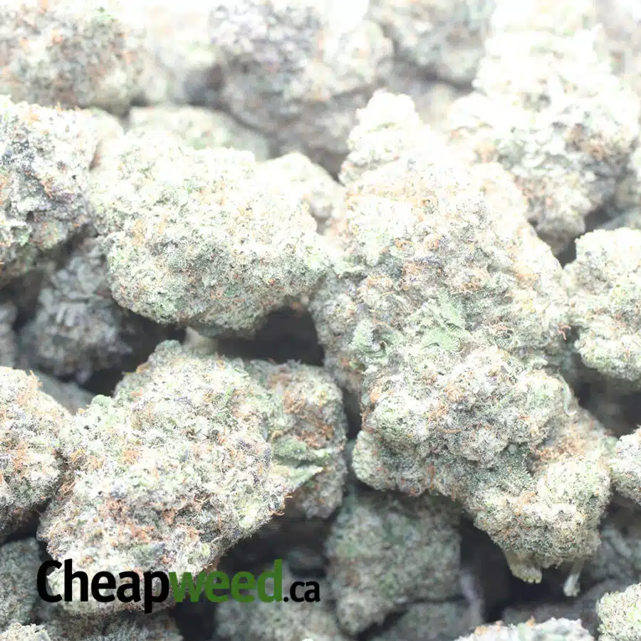 BLUEBERRY CREAMSICLE 1 I Blueberry Creamsicle