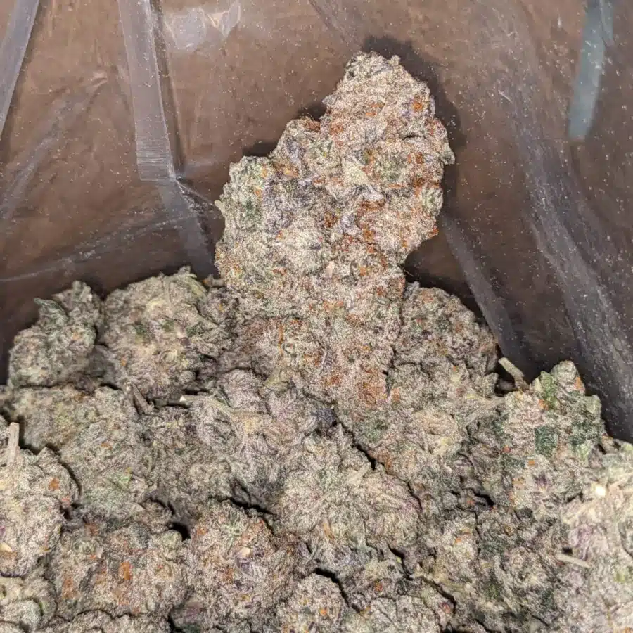 $ 67 Oz - Blueberry Cheesecake - Image 5