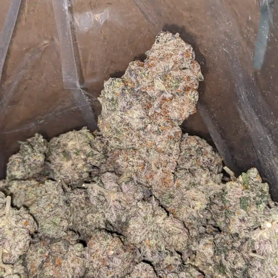 $ 67 Oz - Blueberry Cheesecake - Image 6