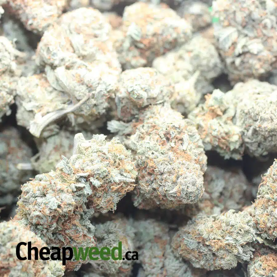 CANNATONIC 1 I Cannatonic