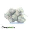 Greenfarm's MK Ultra