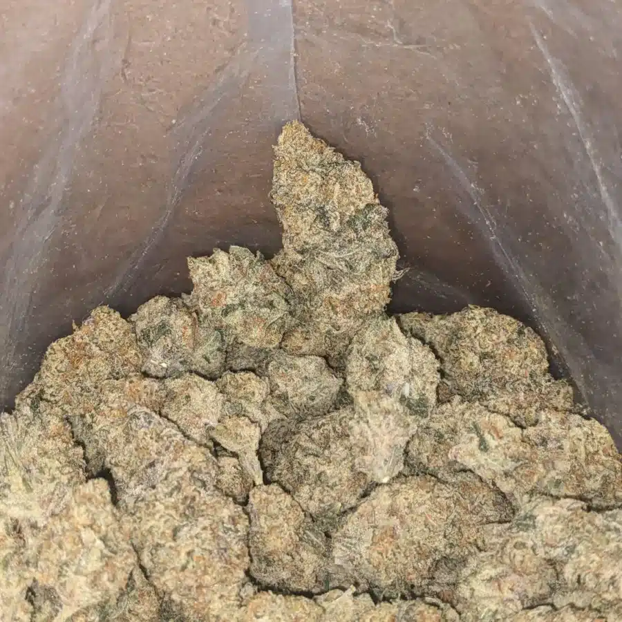 Lemon Cirtus Haze 3 I Lemon Citrus Haze