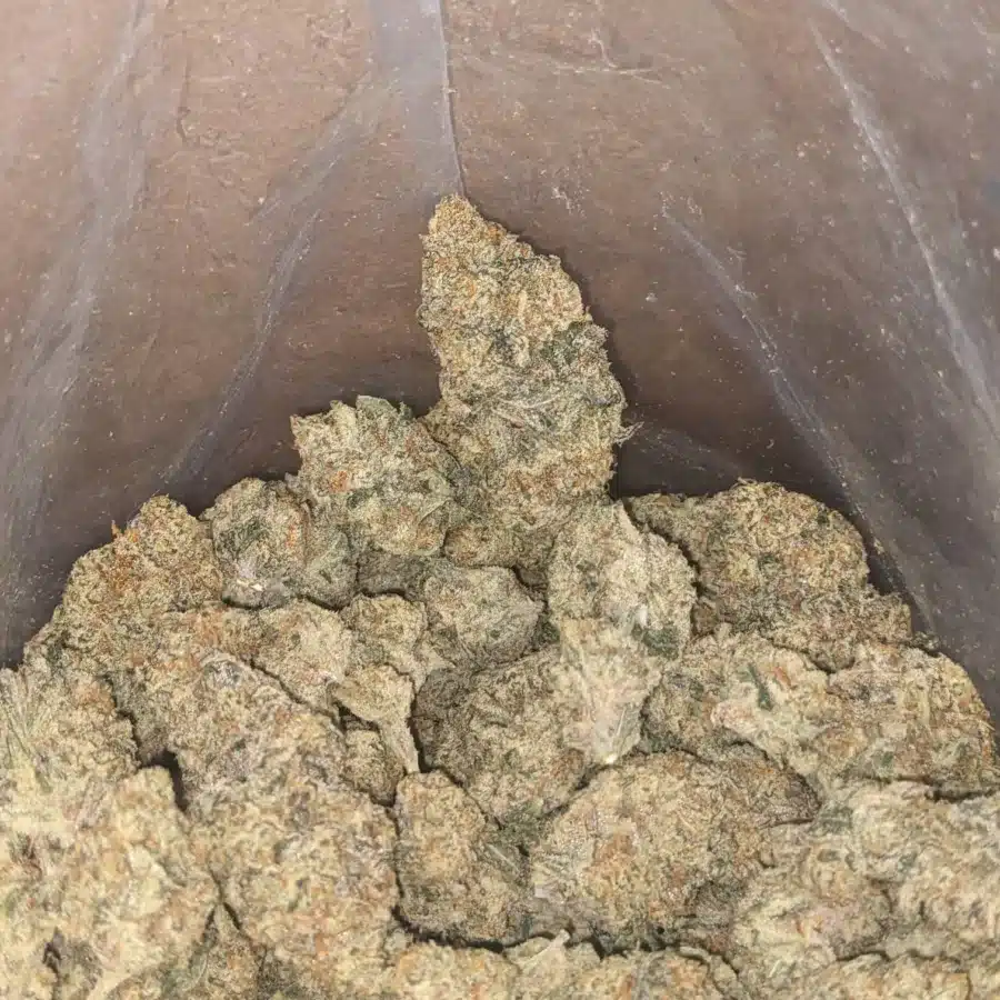 Lemon Cirtus Haze 4 I Lemon Citrus Haze