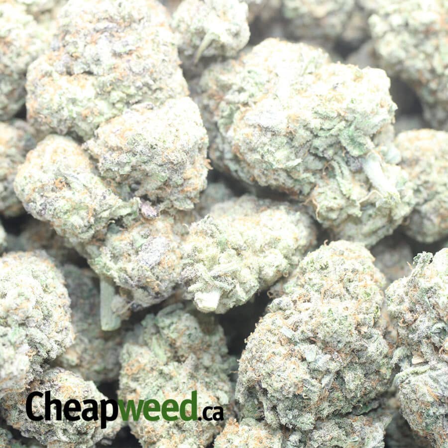 MAC 10 1 I Miracle Alien Cookies #10