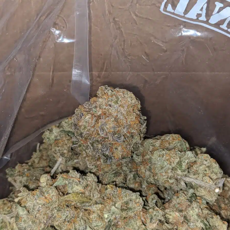 ORANGE TANGERINE 4 I Orange Tangie