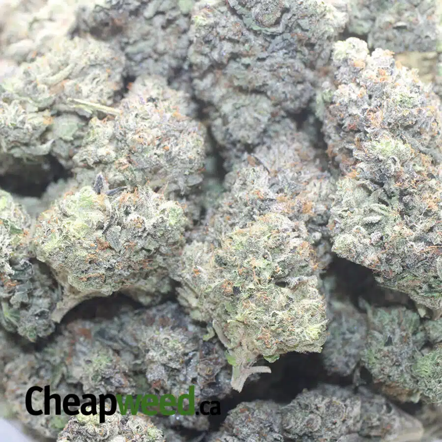 PINK CHEMDAWG 1 I $ 125 Oz - Pink Chemdawg