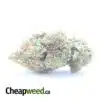$ 57 Oz - Seattle Cough