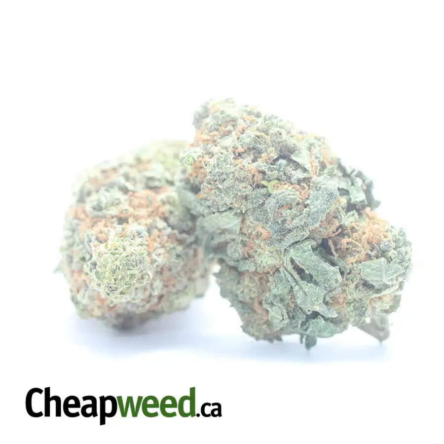 Alternative view of $ 57 Oz - Seattle Cough