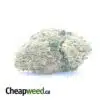 Sherbert #2