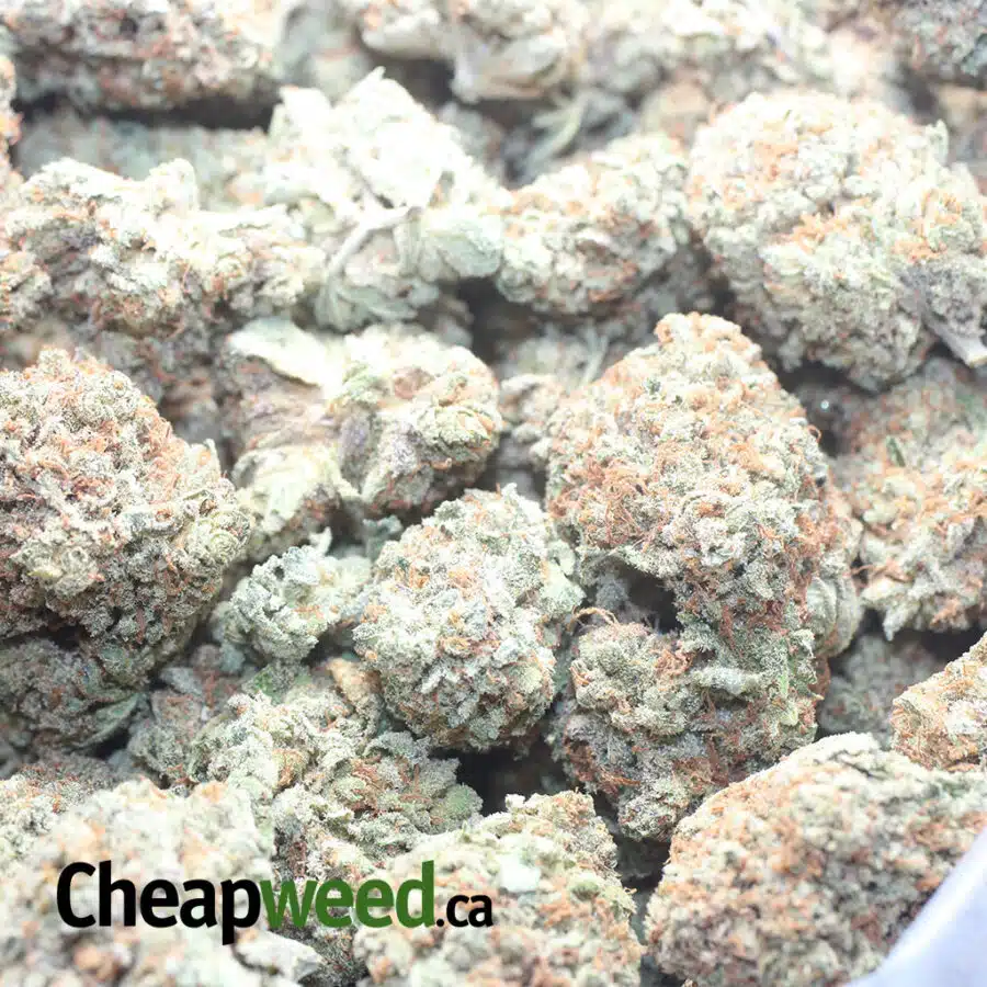 SWEET GRAPEFRUIT 3 I Sweet Grapefruit
