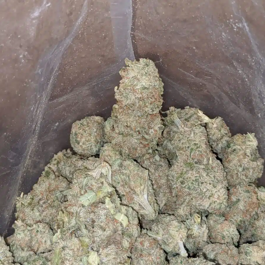 Sherbert 1 1 I $ 48 Oz - Sherbert