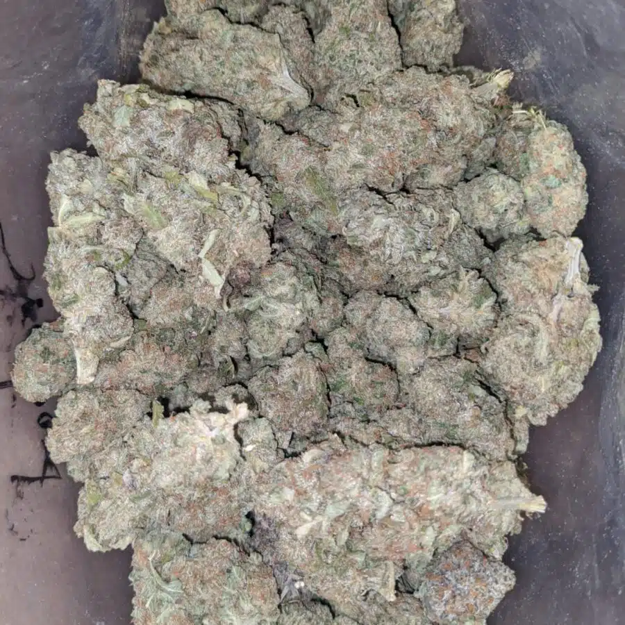 Sherbert 3 1 I $ 48 Oz - Sherbert