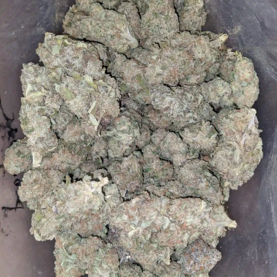 Sherbert 4 1 I $ 48 Oz - Sherbert
