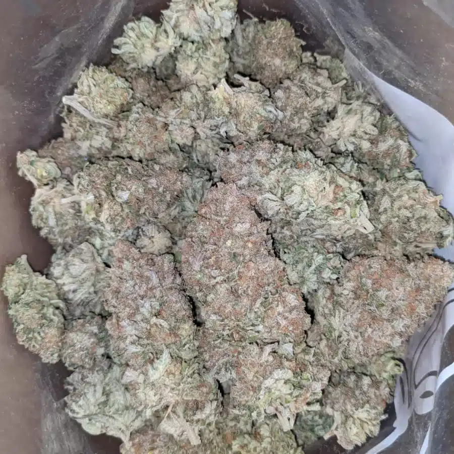 Silver Kush 1 I Silver Kush