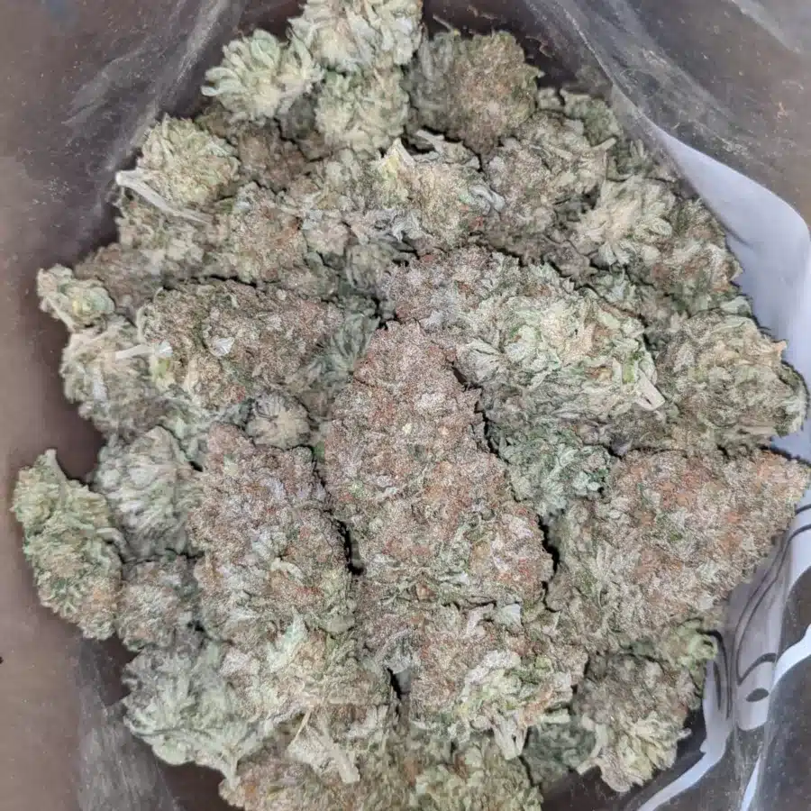 Silver Kush 2 I Silver Kush