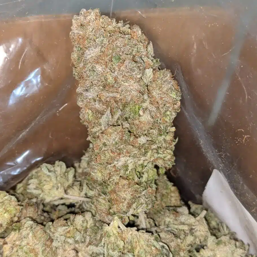 Silver Kush 3 I Silver Kush