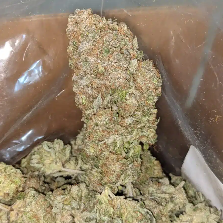 Silver Kush 4 I Silver Kush