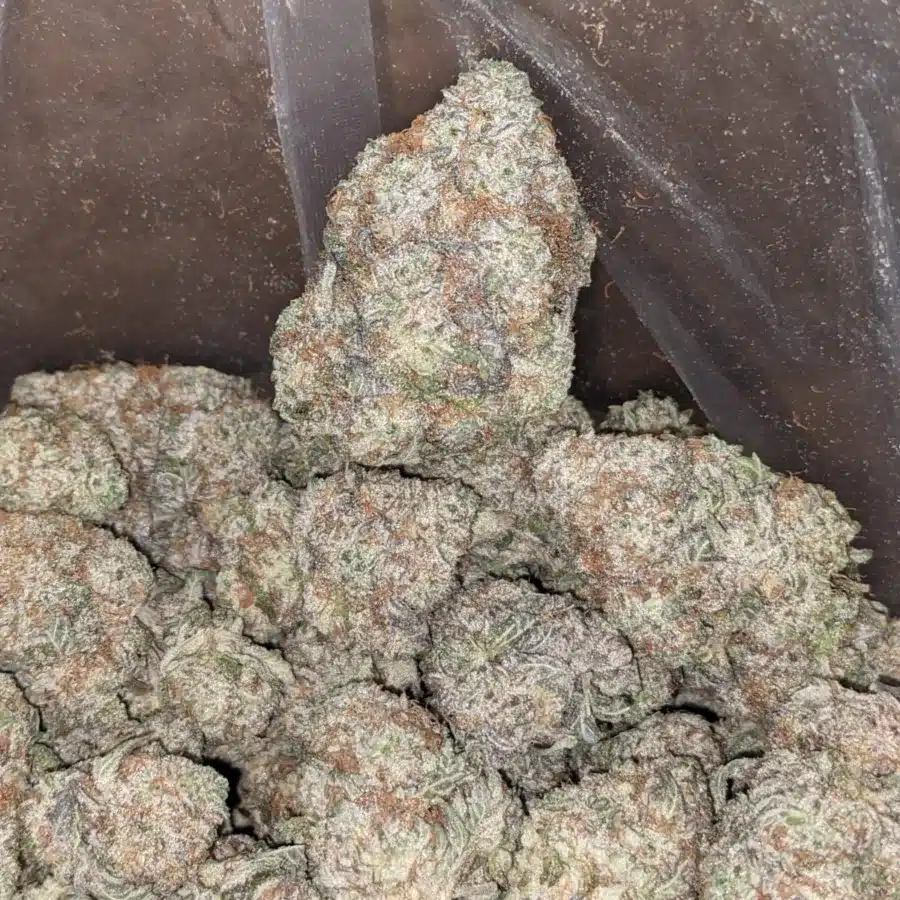 Sweet tooth 1 I Sweet Tooth