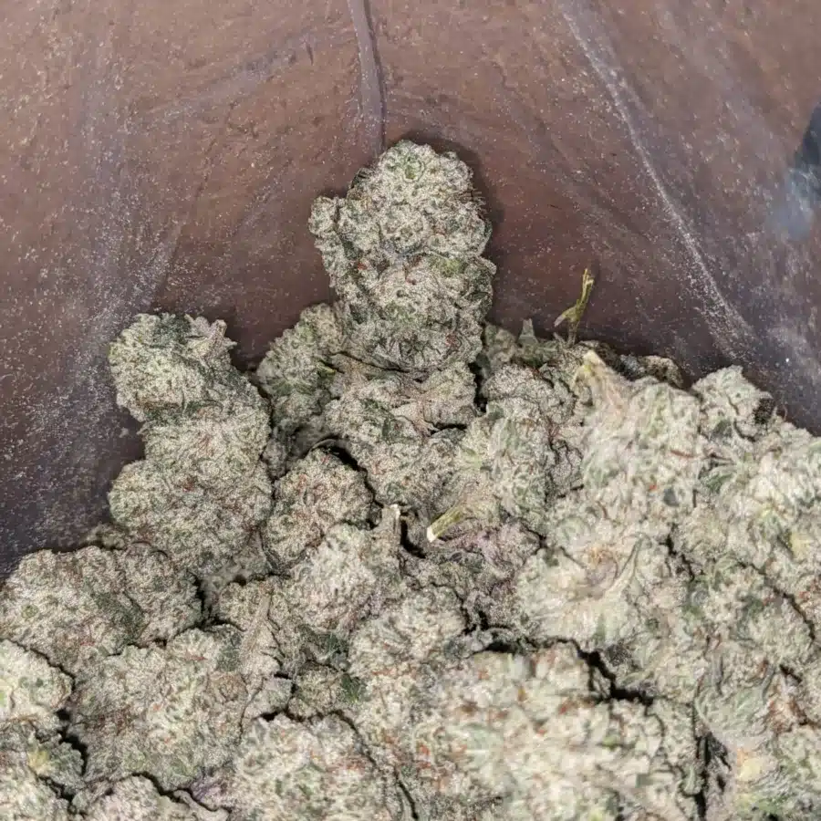 Thin mint 3 I Thin Mints