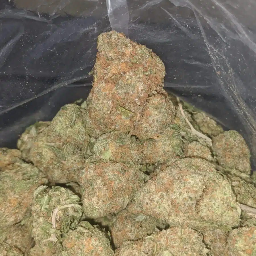 animal crackers 1 I $ 58 Oz - Animal Crackers