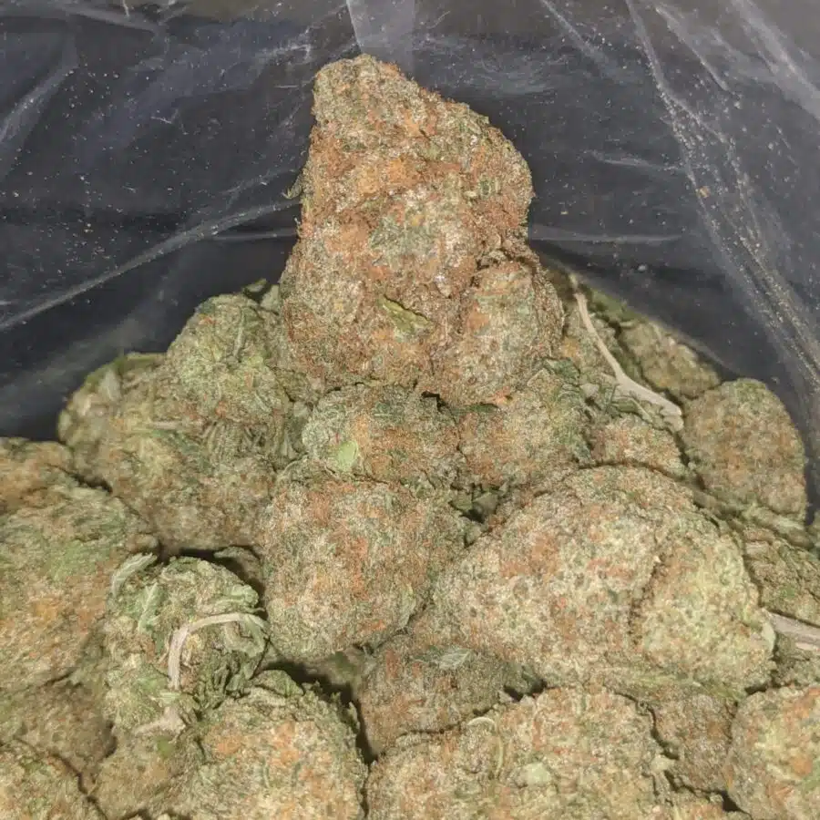 animal crackers 2 I $ 58 Oz - Animal Crackers