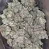 Blueberry Frost