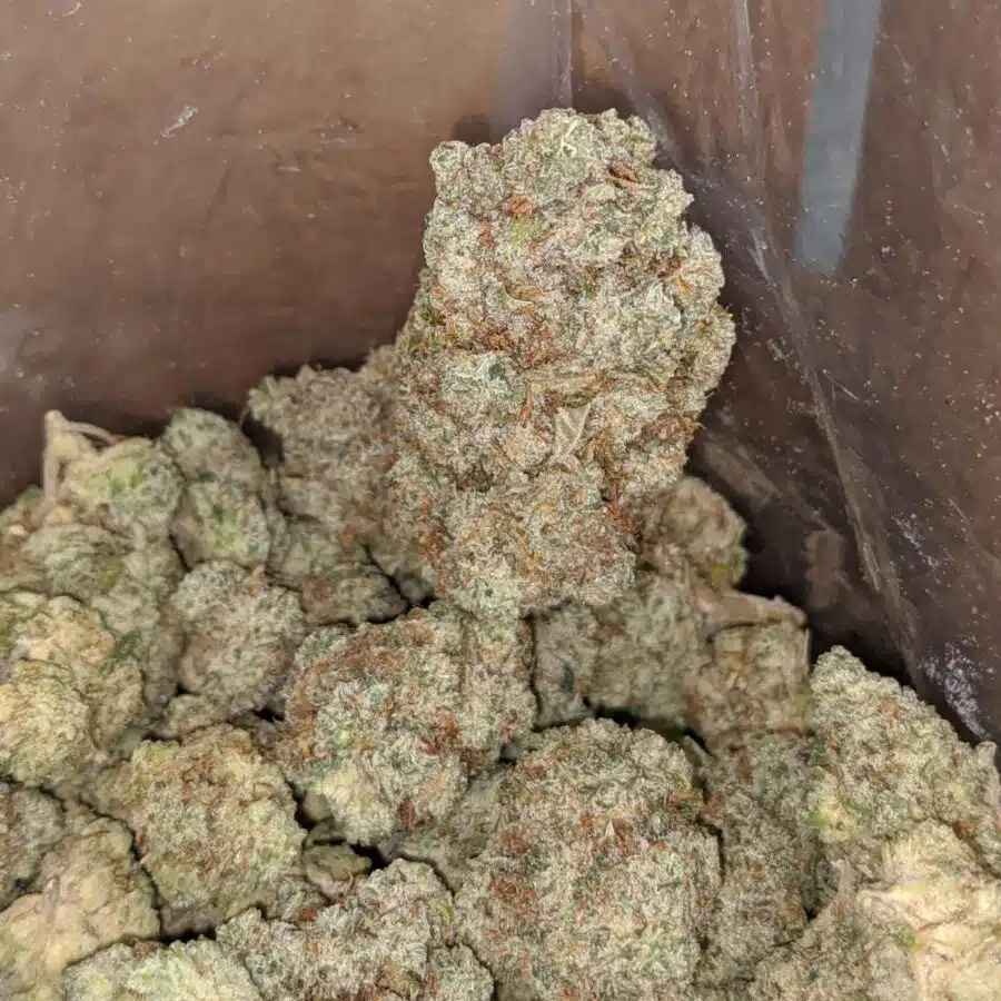 blueberry frost 4 I Blueberry Frost