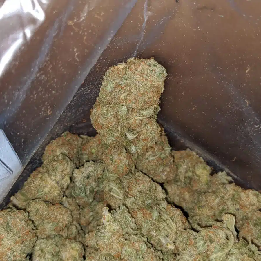 bluie hawaiian 1 I $ 56 Oz - Blue Hawaiian