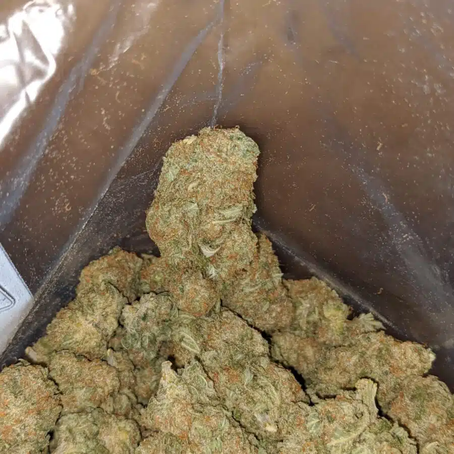 bluie hawaiian 2 I $ 56 Oz - Blue Hawaiian