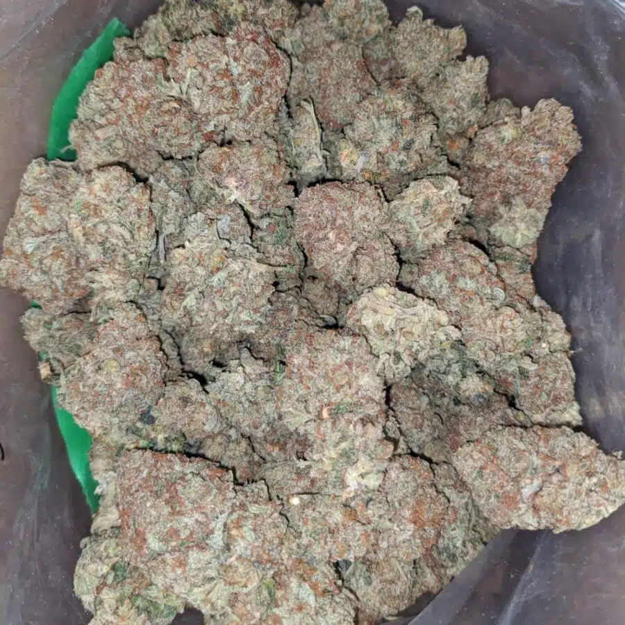 chem glue 1 I Chem Glue