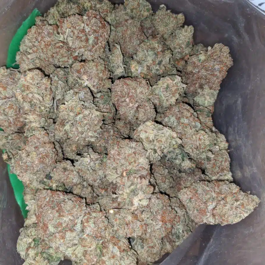 chem glue 2 I Chem Glue