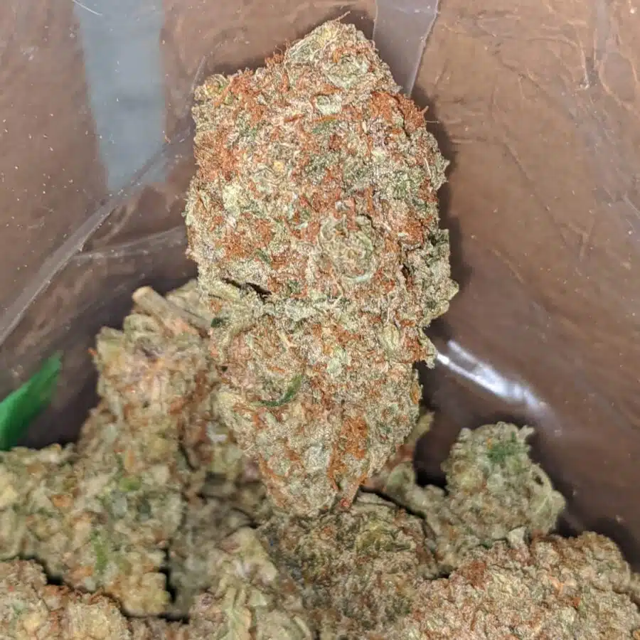chem glue 3 I Chem Glue