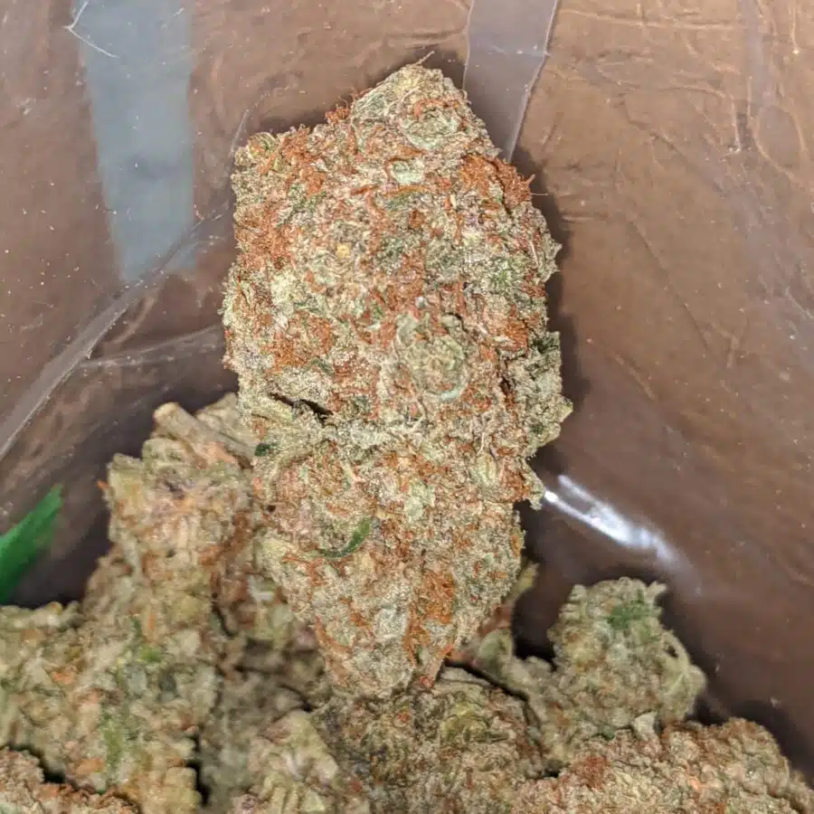 chem glue 4 I Chem Glue