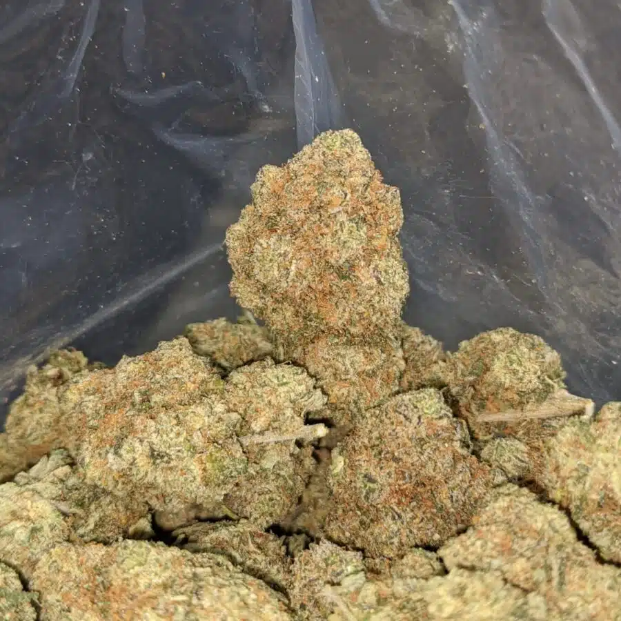 mandarin cookies 2 I Mandarin Cookies