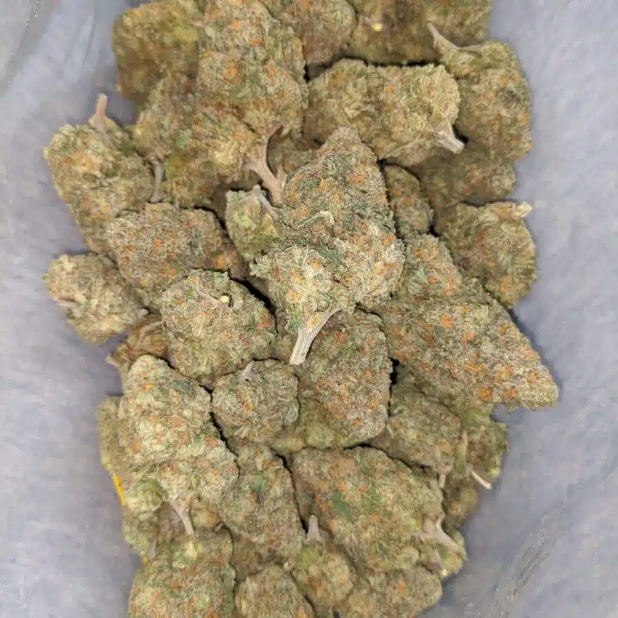 peach crensando 4 I Peach Crescendo