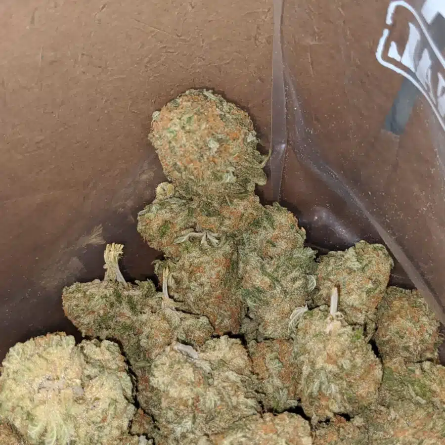 sherbert 2 I Sherbert #2